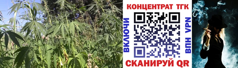 MEGA ССЫЛКА  Кашира  Дистиллят ТГК жижа 